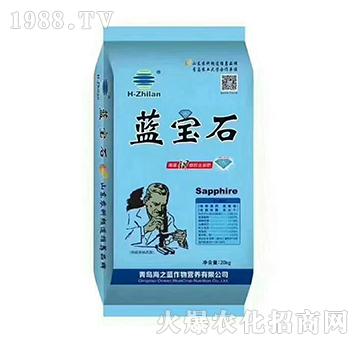 �����w����-�{(l��n)��ʯ-��