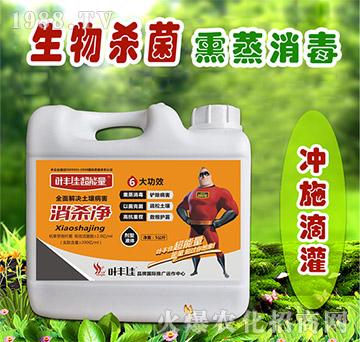 ����������-�~�S�ѳ�����