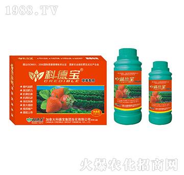 ��ݮ���àI�B(y��ng)���a(ch��n)�{(di��o)�턩-�Ƶ�