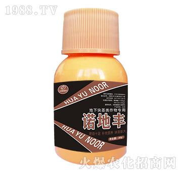 ���K�o������-�Z���S-�Z��