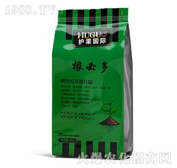 ���ض�-�o(h��)����(gu��)�H