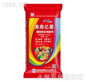 ΢�������-���߃|��-����