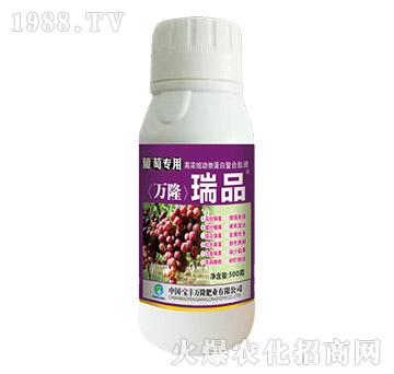 ���ь��øߝ�s���ﵰ��