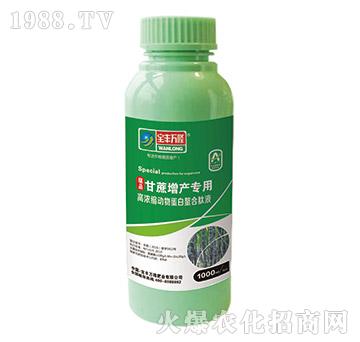 �������a���øߝ�s����