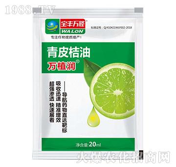 ��Ƥ����-�fֲ��-���S�f¡