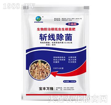 �ؾ�����-���S�f¡