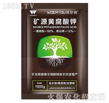 �VԴ�S�����-�֠���(y��u)