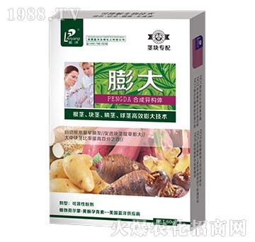 �o�K�������-���_(t��i)��