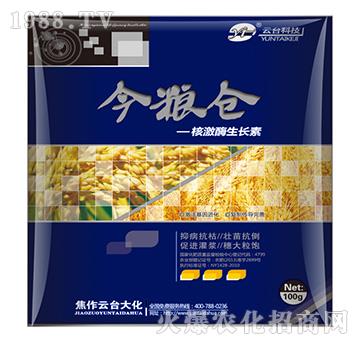 �˼�ø���L(zh��ng)��-��Z�}(c��ng)-