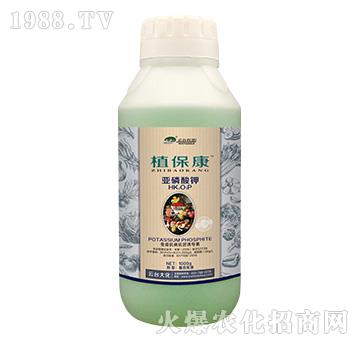 1000gֲ����-���_(t��i)