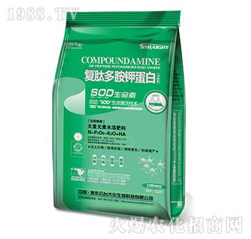 ��(f��)�Ķష⛵��׹��ܷ�-