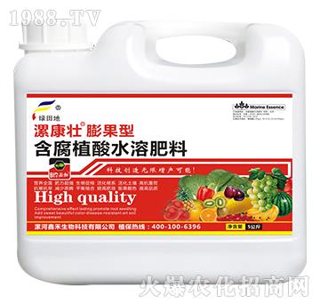 膨果型含腐殖酸水溶肥料（壺）-漯康壯-綠田地