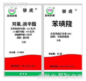 10%����¡+459��ÿ���p����������-�K�ƻ���