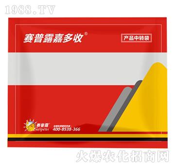 ���a�ײ�-�ζ���-ِ��¶