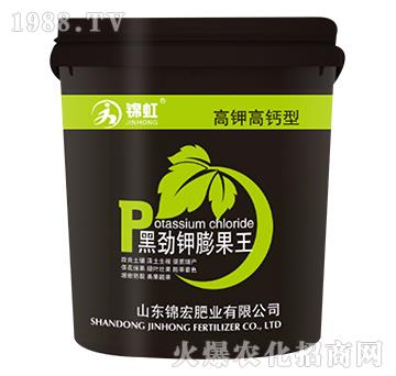 �ڄ�������-�\��-�\��ʘI(y��)