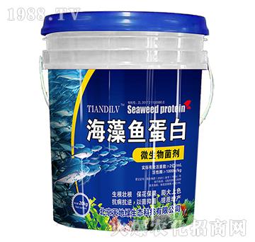 ΢�������-�����~(y��)����-��ؾG