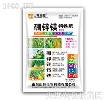 ���\�V�}�F��-ɽ������