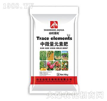 ��΢��Ԫ�ط�-ɽ������