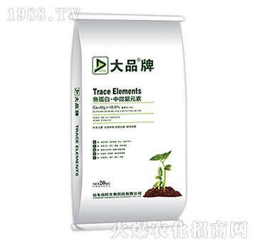 �~���ס���΢��Ԫ��-ɽ������