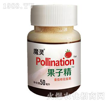 ���ч�������-���Ӿ�-ħ�`-��������