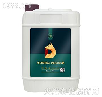 ����-��