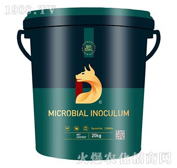 ժ����-��