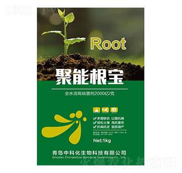 ���ܸ���-�пƻ�