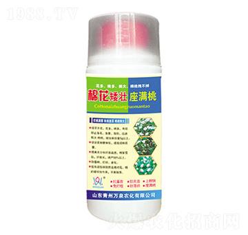 �޻��������M��-�fȪ�r(n��ng)��