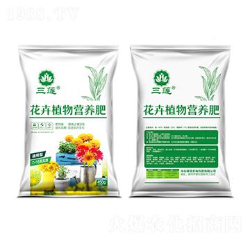 ����ֲ��I(y��ng)�B(y��ng)��-�ڱ���