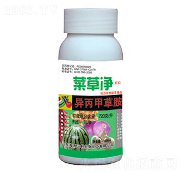 720��ÿ�������ײݰ�-�˲݃�-��������