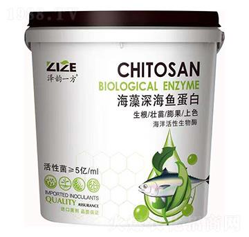 海藻深海魚蛋白-中農(nóng)恒大