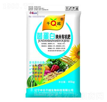 �����׼{���ЙC(j��)��-ǧԽ����