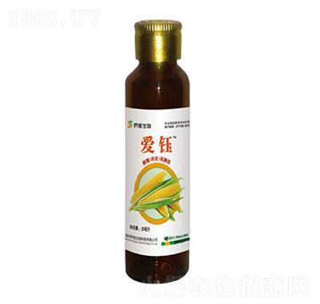 ��(��i)�--�ż��r(n��ng)�I(y��)