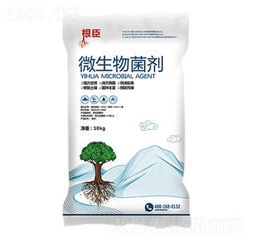 ΢�������-����-һ��(hu��)�r(n��ng)�I(y��)