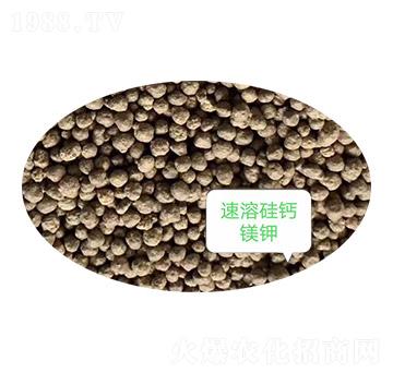 ���ܹ��}�V�-�Z�M�}