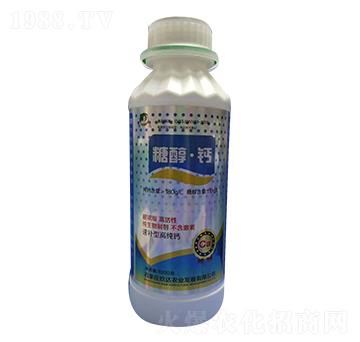 1000g�Ǵ��}-���_