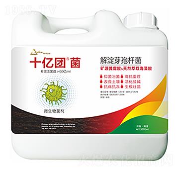 ���ѿ�ߗU��-ʮ�|�F(tu��n)��