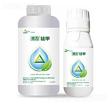 ِ�����-�����Ƽ�