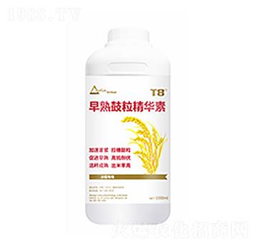 ����������A��-������