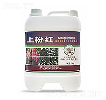 �Ϸۡ��t-�����Ƽ�