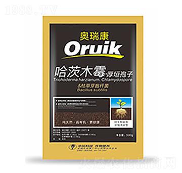 �W��-�����Ƽ�