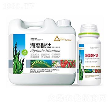 �������-�����Ƽ�