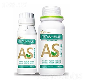 T8��AS-�T����-�����Ƽ�