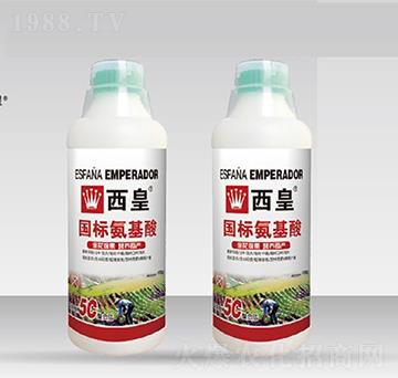 ���˰�����-����-����˹�D