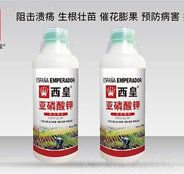 �������0-525-375-����-����˹�D