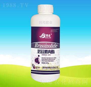 �|̦�؃�(n��i)��-�n��ʘI(y��)