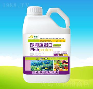 ��~(y��)����-�n��ʘI(y��)