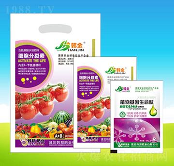 番茄植物基因生命肽-韓邦肥業(yè)