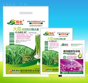 �����̦�ɿ������-�n��ʘI(y��)