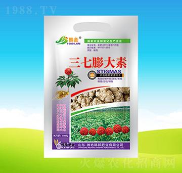 ���������-�n��-�n��ʘI(y��)